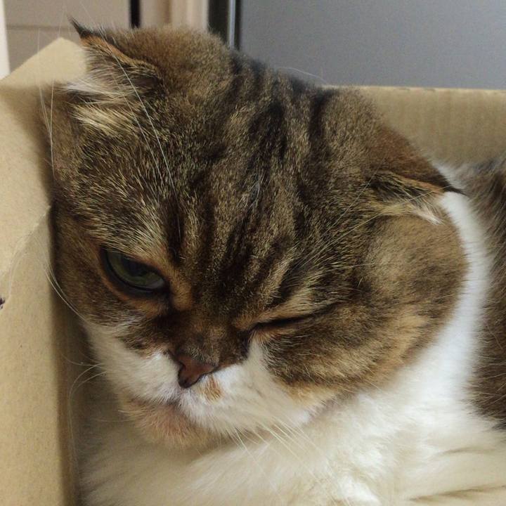 C5504339 7a6a 469c 9ba3 40b3f1647360