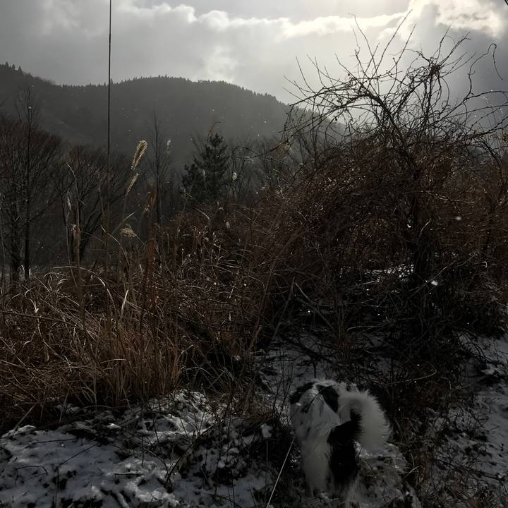 C55063e7 fab8 48e5 90d5 c993e33bbfbe