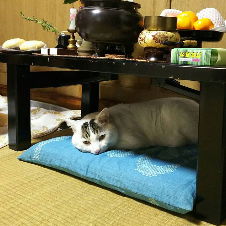 C5514419 fe23 4920 8aa8 01003b875d43