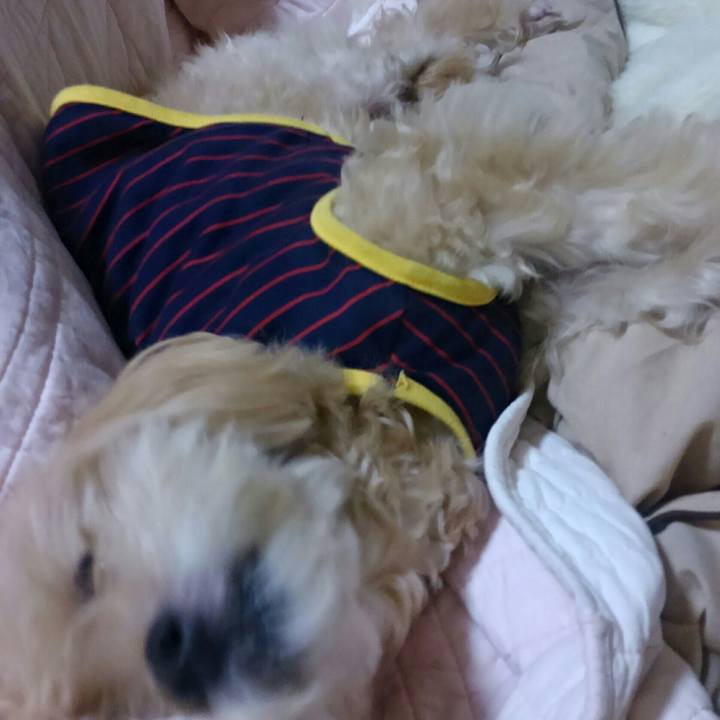 C55272ec 1fdc 40a2 bd3c be71639c5255