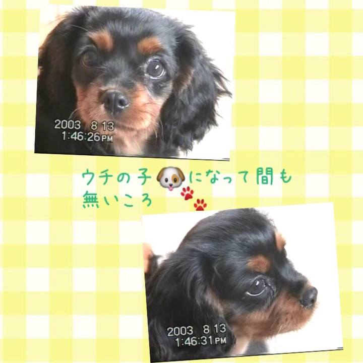 C5535669 d91d 4964 afd0 dbfa6e08012d