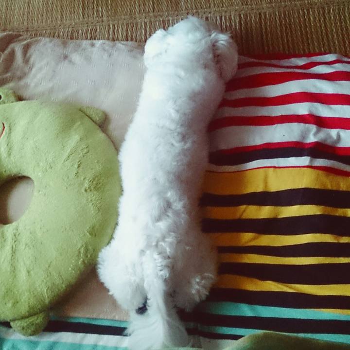 C553cb63 9d3f 42a4 a09b 7749bb731c67