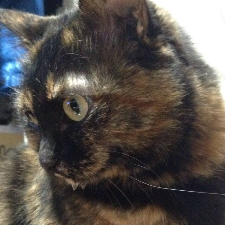 C55401c5 a250 4e5d b1b1 009aff084dda