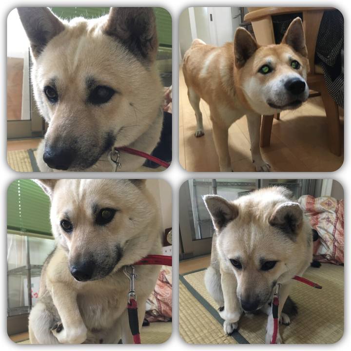 C554042b 9956 4908 b6ed b10b68c4e417