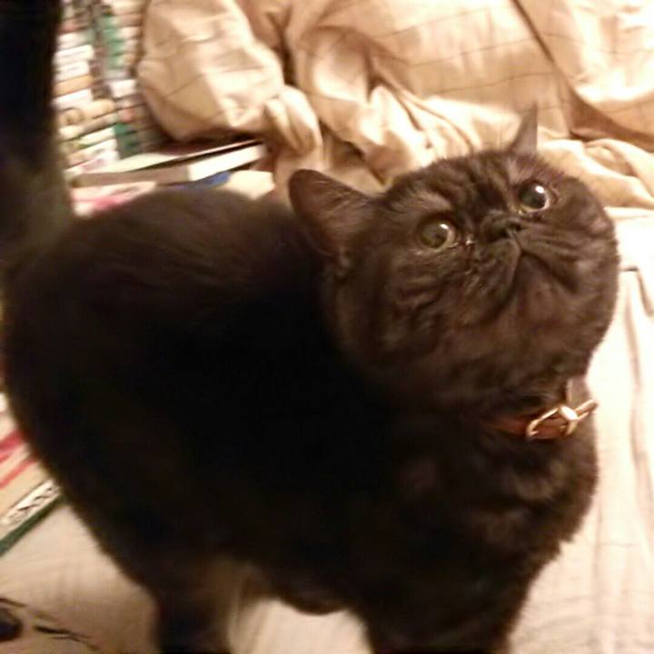 C5540667 0f3d 42f5 a34e b4b2132c0506