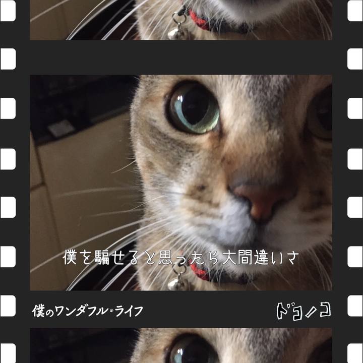 C554197a 1916 4ac8 a012 9ca363b9be98