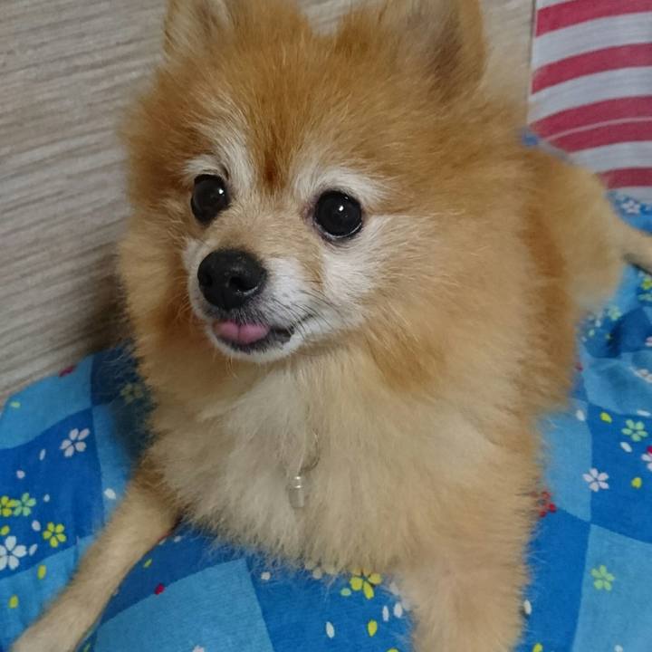 C55478ed 4540 46a9 94e2 b146855c7ddf