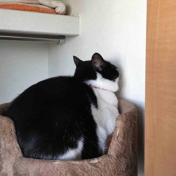 C554860b a835 41b8 ab91 454dfcbfce1d