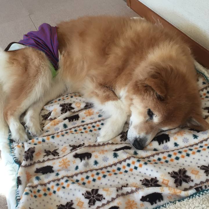 C5551e7e 68f6 404f 8a1e 3354dc62b49a