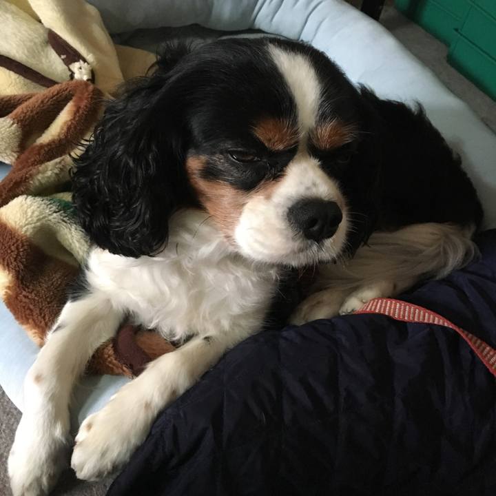 C5557a0c e111 4b9a a3f7 73028a1fac18