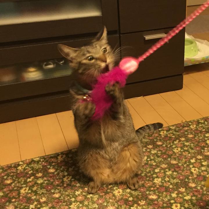 C5559490 317e 44ed b53d 7a25f1c68664