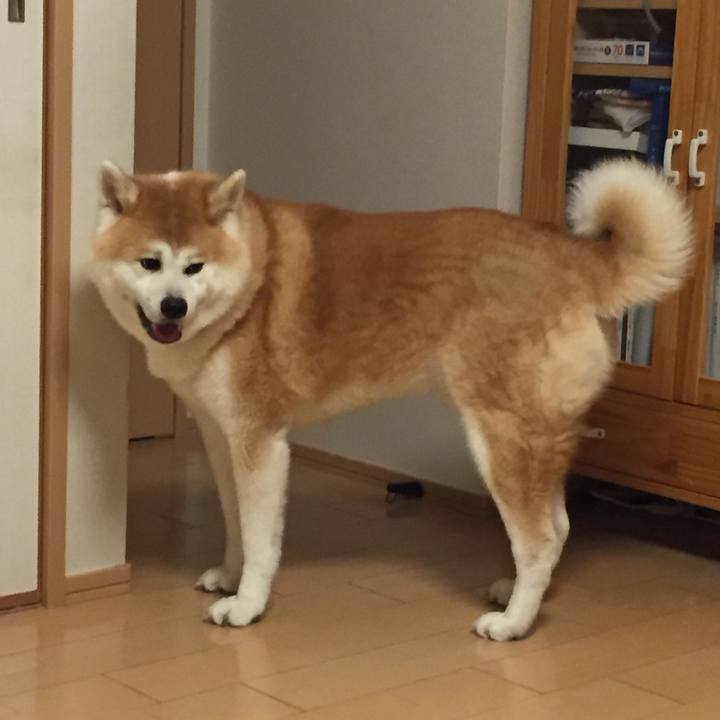 C555bfa9 d0cc 4b52 abe6 b89a39efe9dc