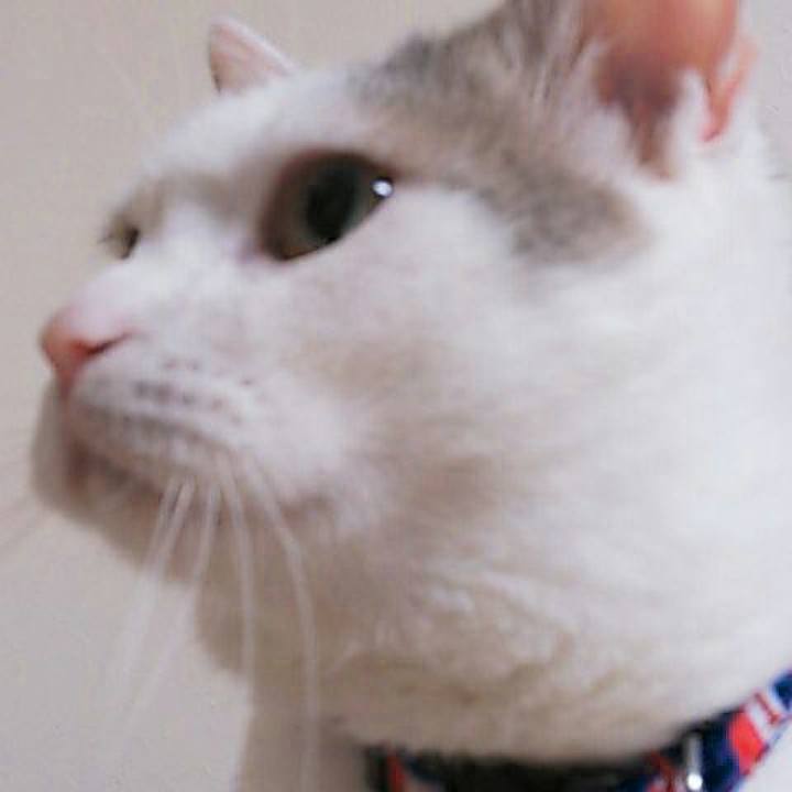 C55686f9 abb6 468f 8231 6d59f1564171