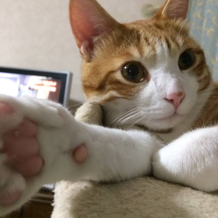 C5568847 4002 4e92 bf79 c25a2820e056