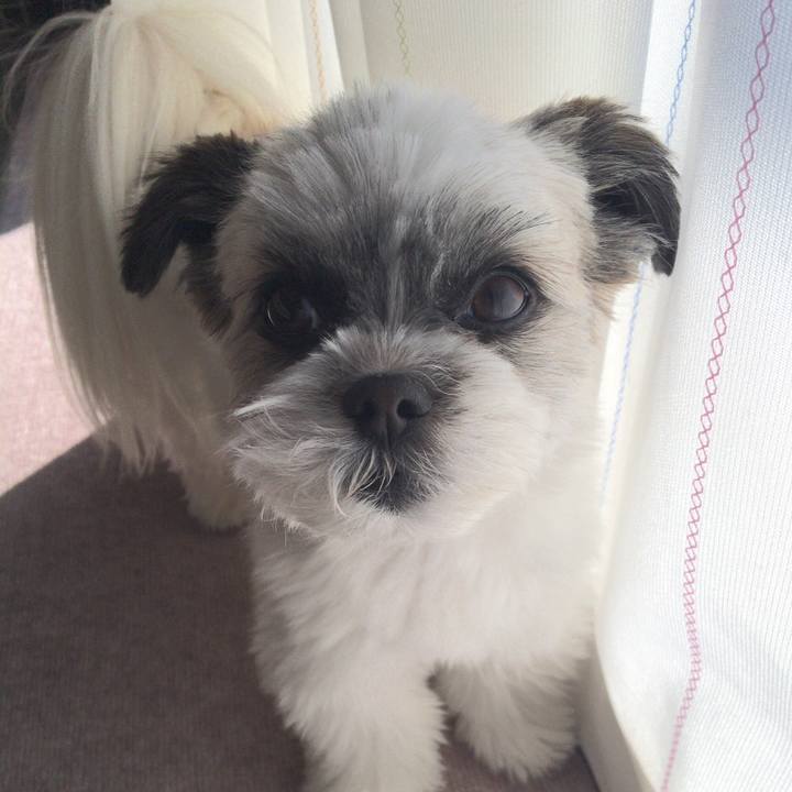 C55698c6 5b3a 4165 be44 dad9e6d60e49