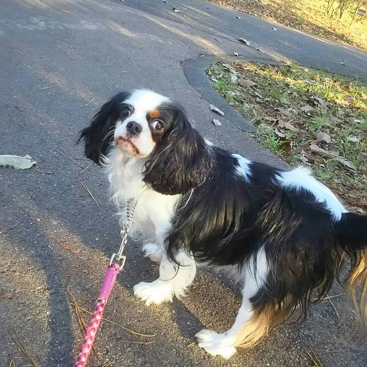 C5572bd9 7305 4181 827b 717c89a42bff