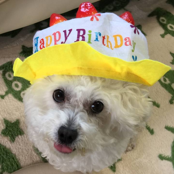 C5590c62 8ede 45b4 ab40 e7355481e292