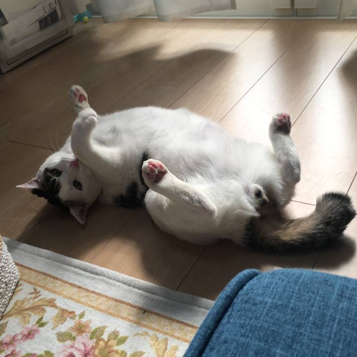 C55a9944 edfd 407b a13f d554dbca72f9