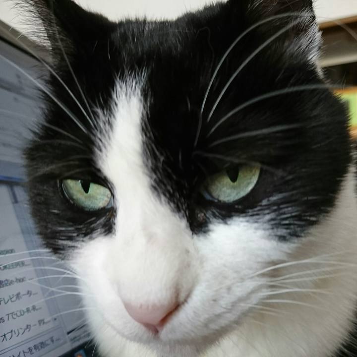 C55add67 6f8a 4bc9 8bbb d264f1f901e0