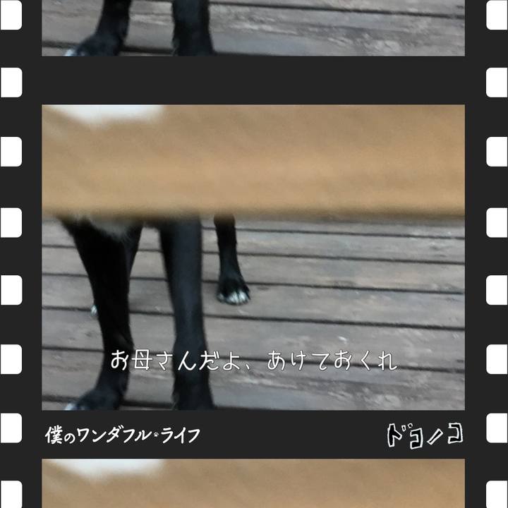 C55ae774 9c1a 483a affd 2abd343c8971