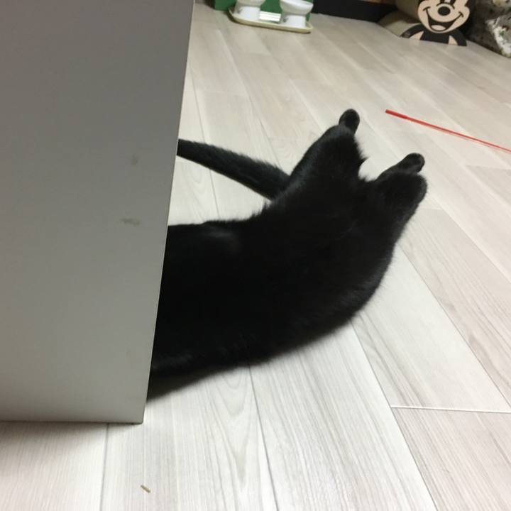 C55b2427 932f 4198 ac42 70d022348fd0