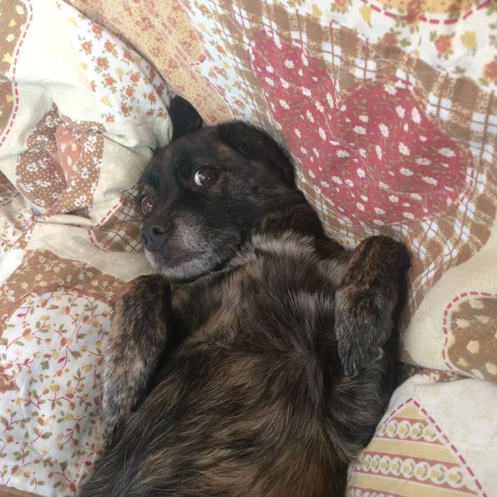 C55b7d85 289c 48ac 9685 a17b1ca375bc