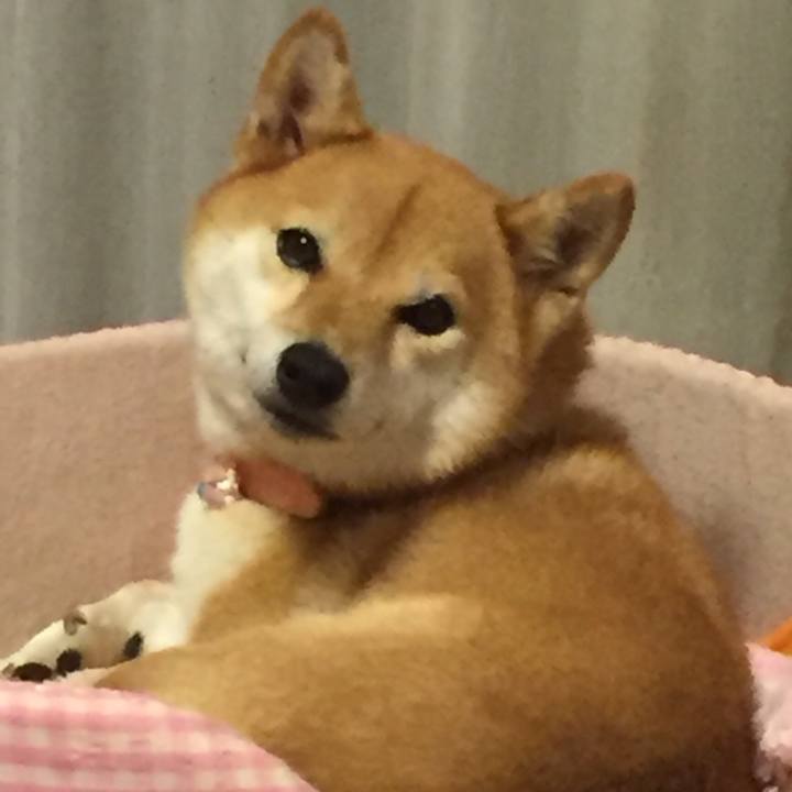 C55bb574 d740 4cf7 8c2b 887b4f96fe74