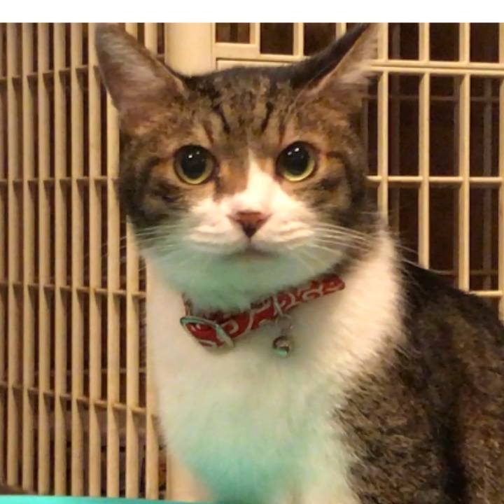 C55bce57 38b9 4824 9ec6 7ddde2156a68