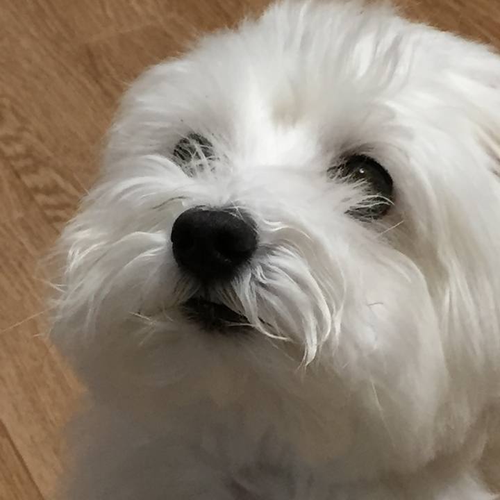 C55c85d6 a185 433c ac23 60c13768ff57