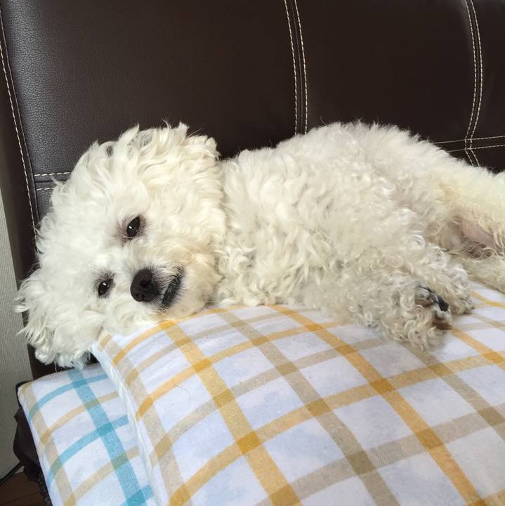 C55ca6aa 3149 4928 ae67 28313fde9af8