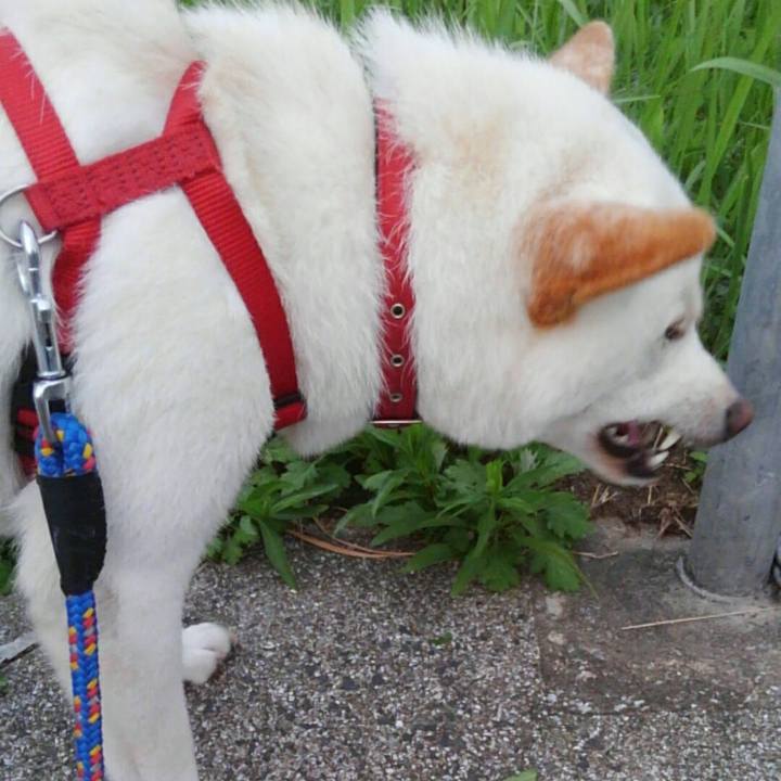 C55d3ca1 215a 4255 a498 66bf359cca12