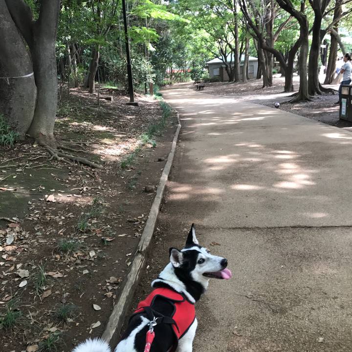 C55de0ad c8a5 41ec 8f54 3b0818c7e596