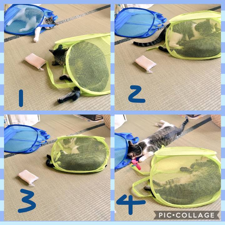 C55df68b dbb3 42fb a48e 8ab78df6ee7e