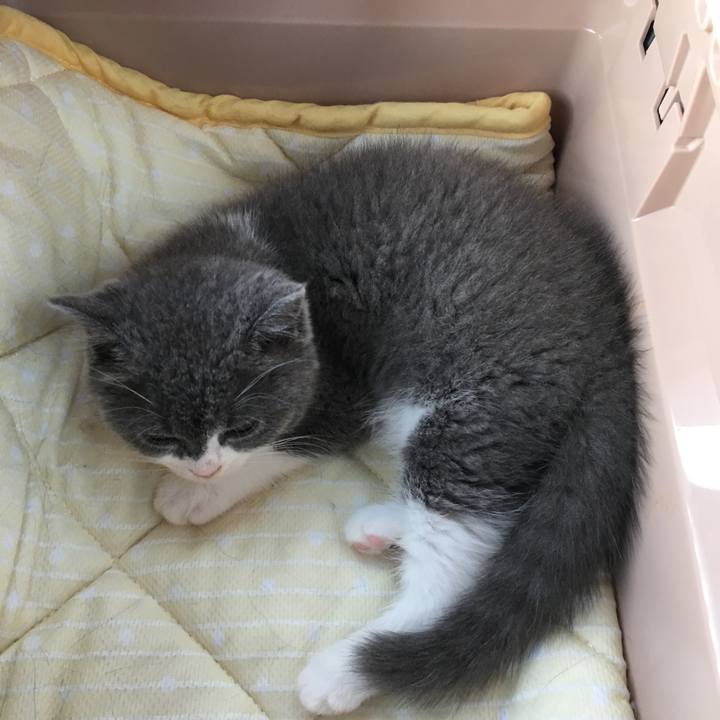 C55ec12f c162 4d0d 935c db36f71896dd