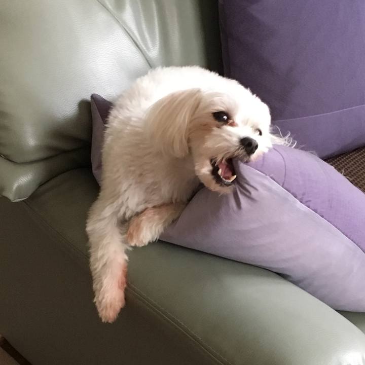 C55ee5f3 68a7 48c2 9987 e06890892f64