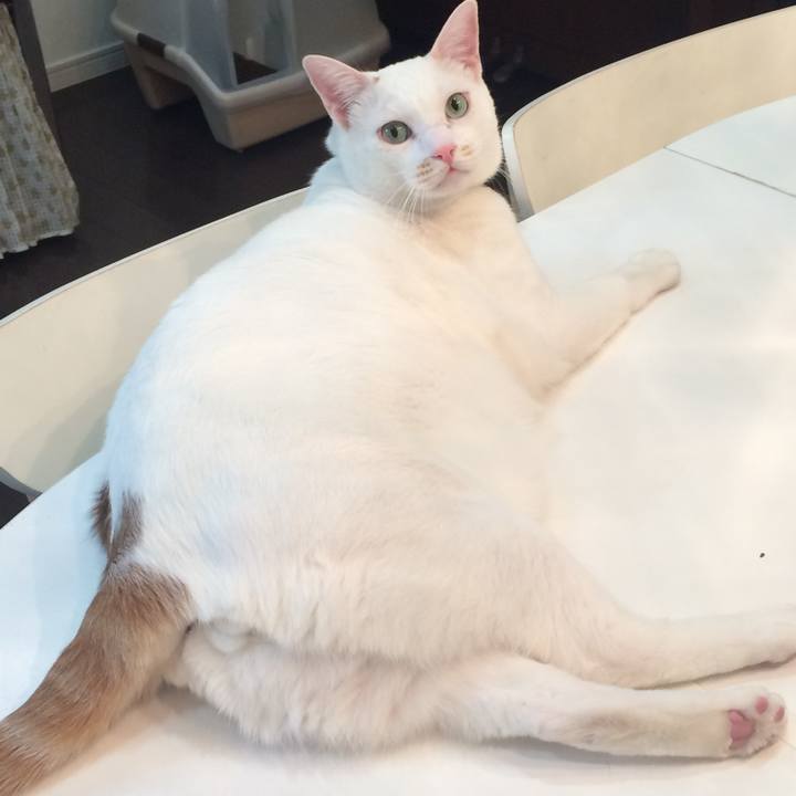 C55f1c71 6c5a 4df3 95de f8105d424390