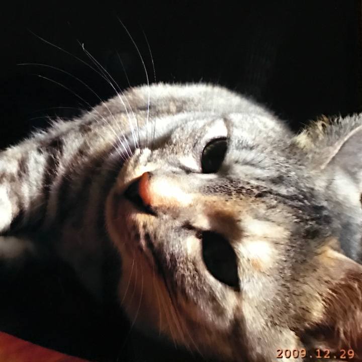 C55f421b c28c 4127 843d 38950a106ae8