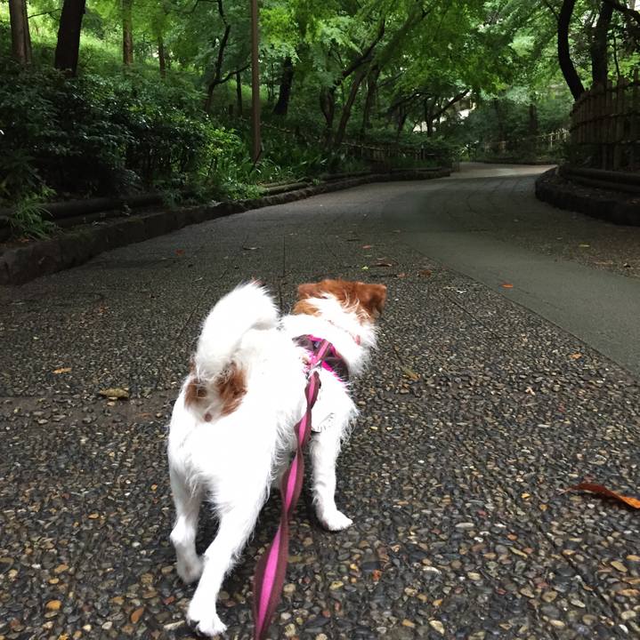 C55fac59 9220 4c3d b137 ceb0729049e3