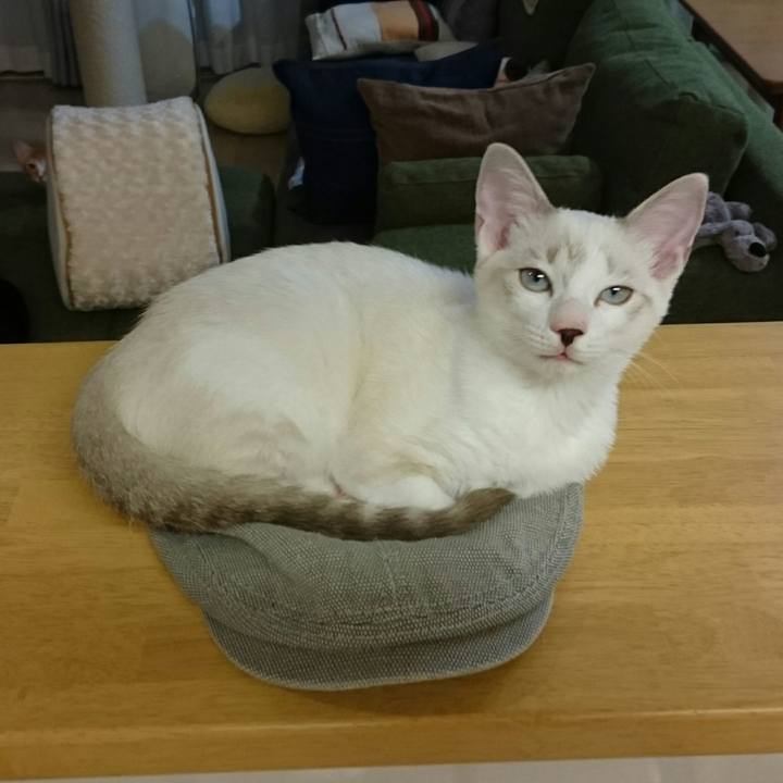 C55fbf29 17b7 45d3 9565 c71b0b9d6626