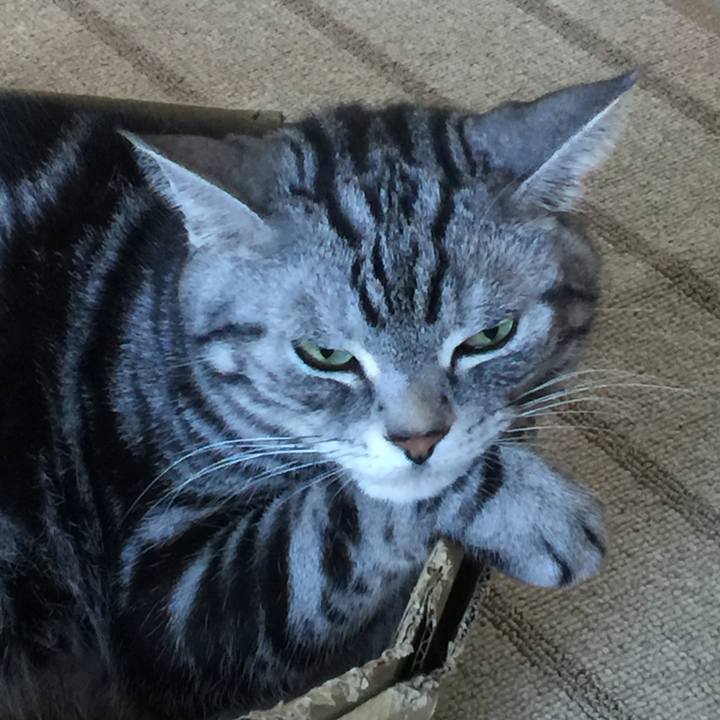 C55fd849 8b69 445f 8d16 98e6d5331547