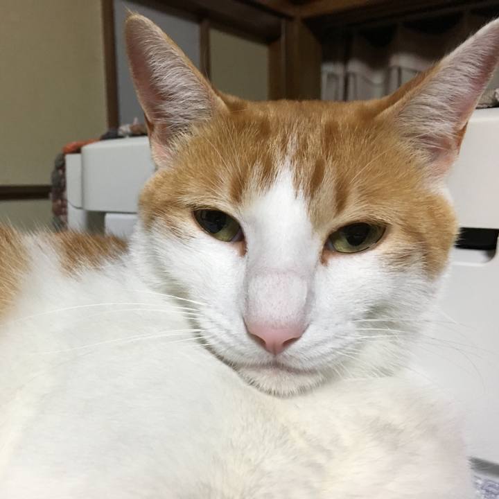 C5604837 9ab6 430e a1c1 148000f32c3c