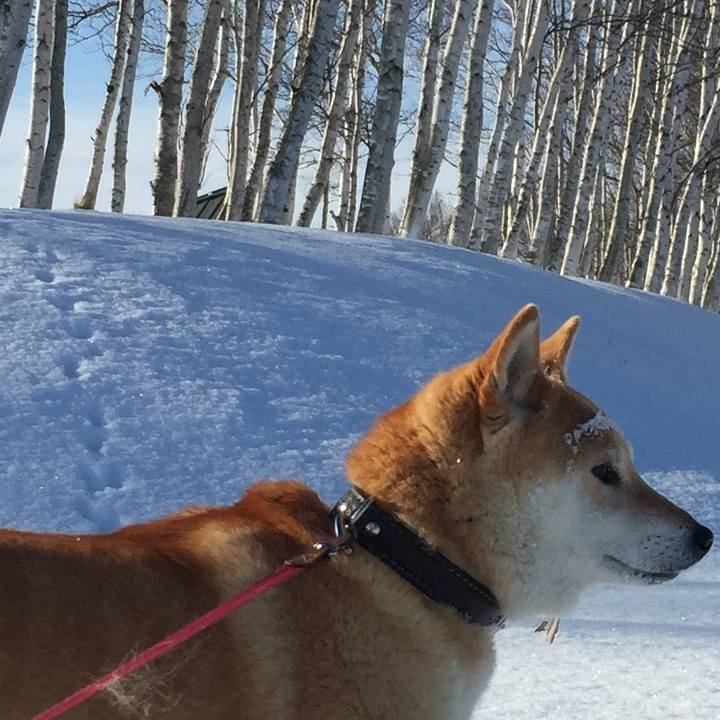 C560c215 9b63 414b 9fa2 f7c71a01c248