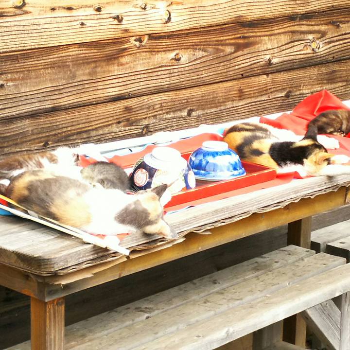 C561493e a51c 4b8b aac8 5340cdb39fc0