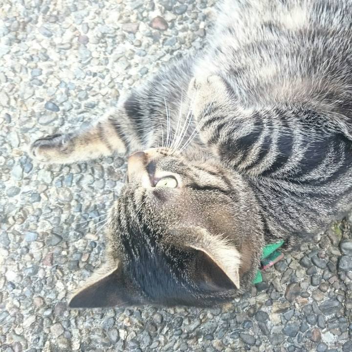 C561f04f fd20 4b9c 8e21 575fa784957c