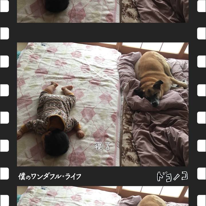 C562a159 a8f8 4de9 acf1 e8f2ae59ab3e