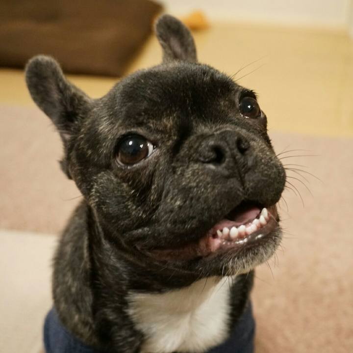 C562b344 60b5 4df6 80a6 ec63f365b74b