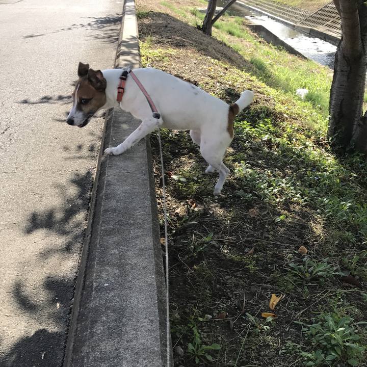 C56346c8 1d8f 4e11 b7ce 46074d531878