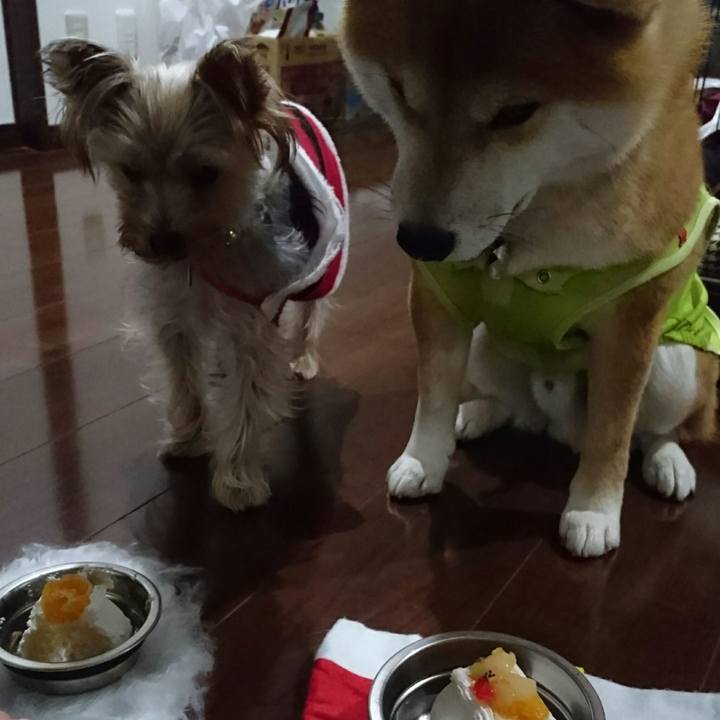 C563c2a4 0d66 4dcc 8c7c fc13b19f3098