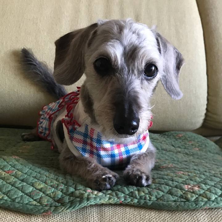 C564b36e a864 407a 85ec 3e769a432155