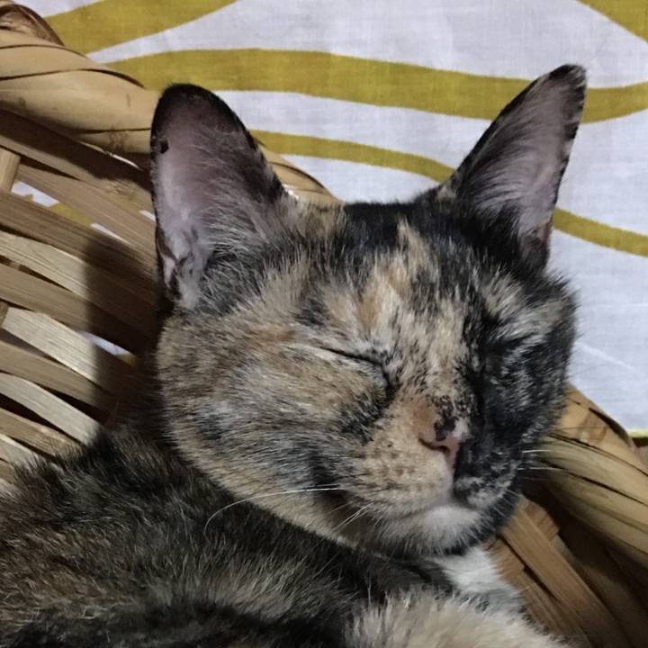 C564b916 b919 4057 ba4a 3e4dce188468